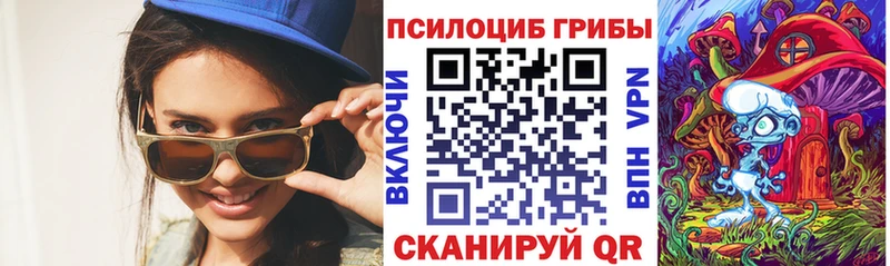 Псилоцибиновые грибы Psilocybe Купить закладки Советская Гавань